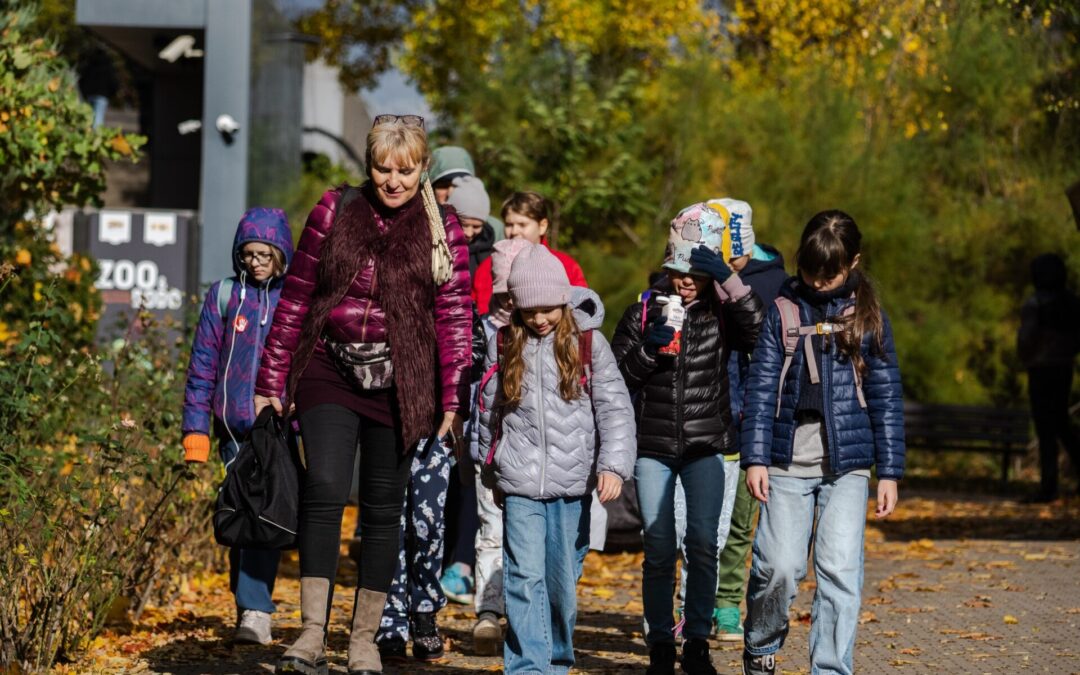 PLENEROWE ZOO dla uczestników MDK-Krzyki